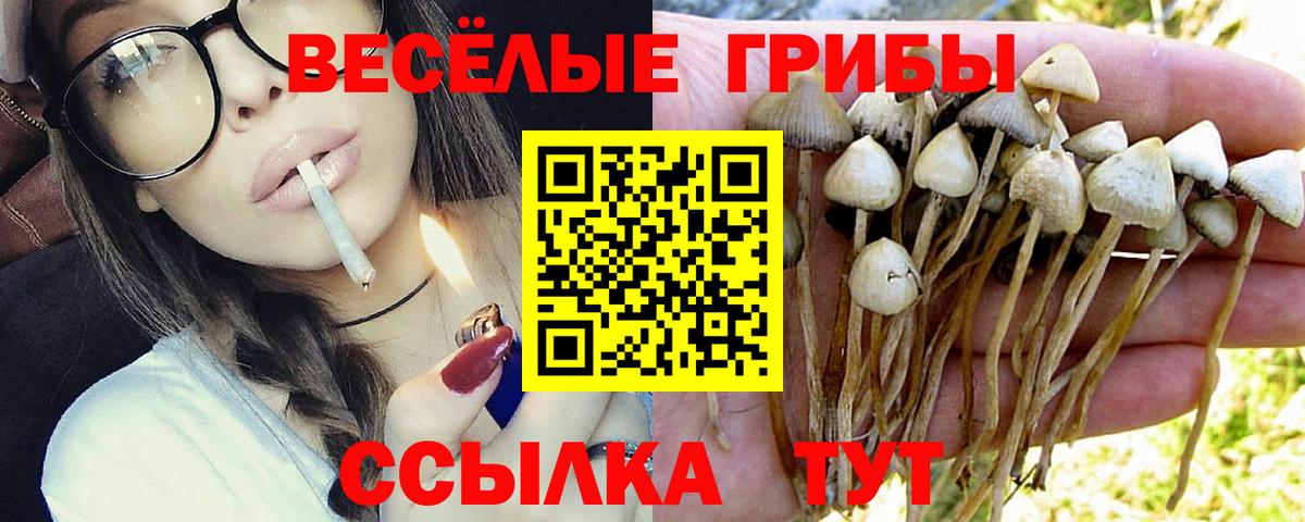 Псилоцибиновые грибы MAGIC MUSHROOMS Волгодонск