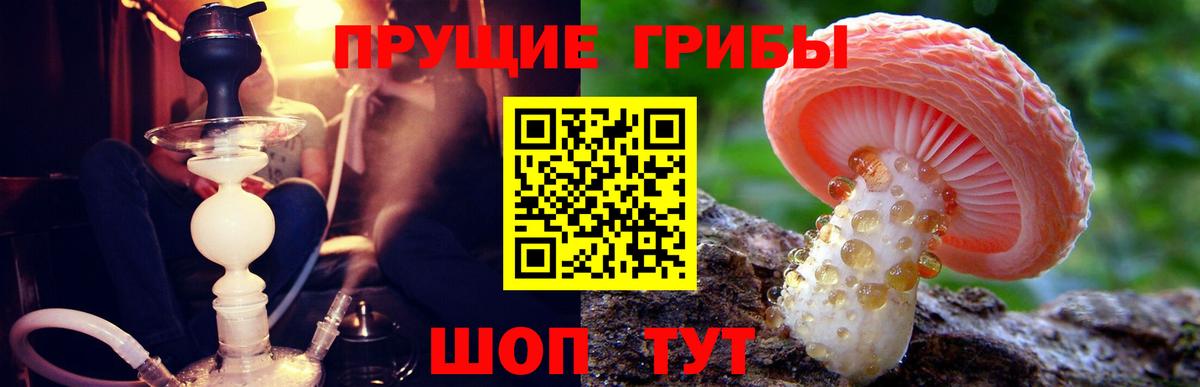 где продают   Вход с VPN  Волгодонск  Псилоцибиновые грибы MAGIC MUSHROOMS 